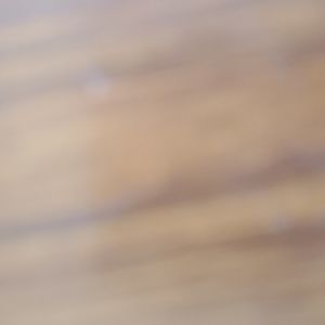 Third Oak brand new flipflops  orange